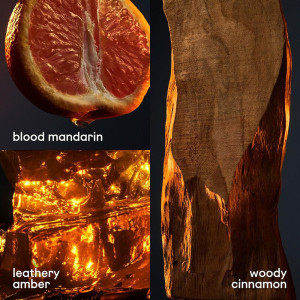 Paco Rabanne 1 Million Eau De Toilette 50Ml