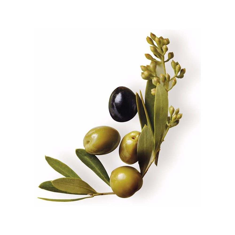 Garnier Original Remedies Mascarilla Oliva Mitica 300Ml