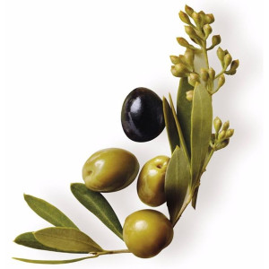 Garnier Original Remedies Champú Oliva Mítica 300Ml