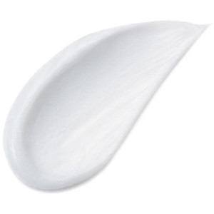 Kanebo Sensai Silky Cream...