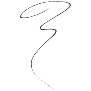 Maybelline Brow Ultra Slim...