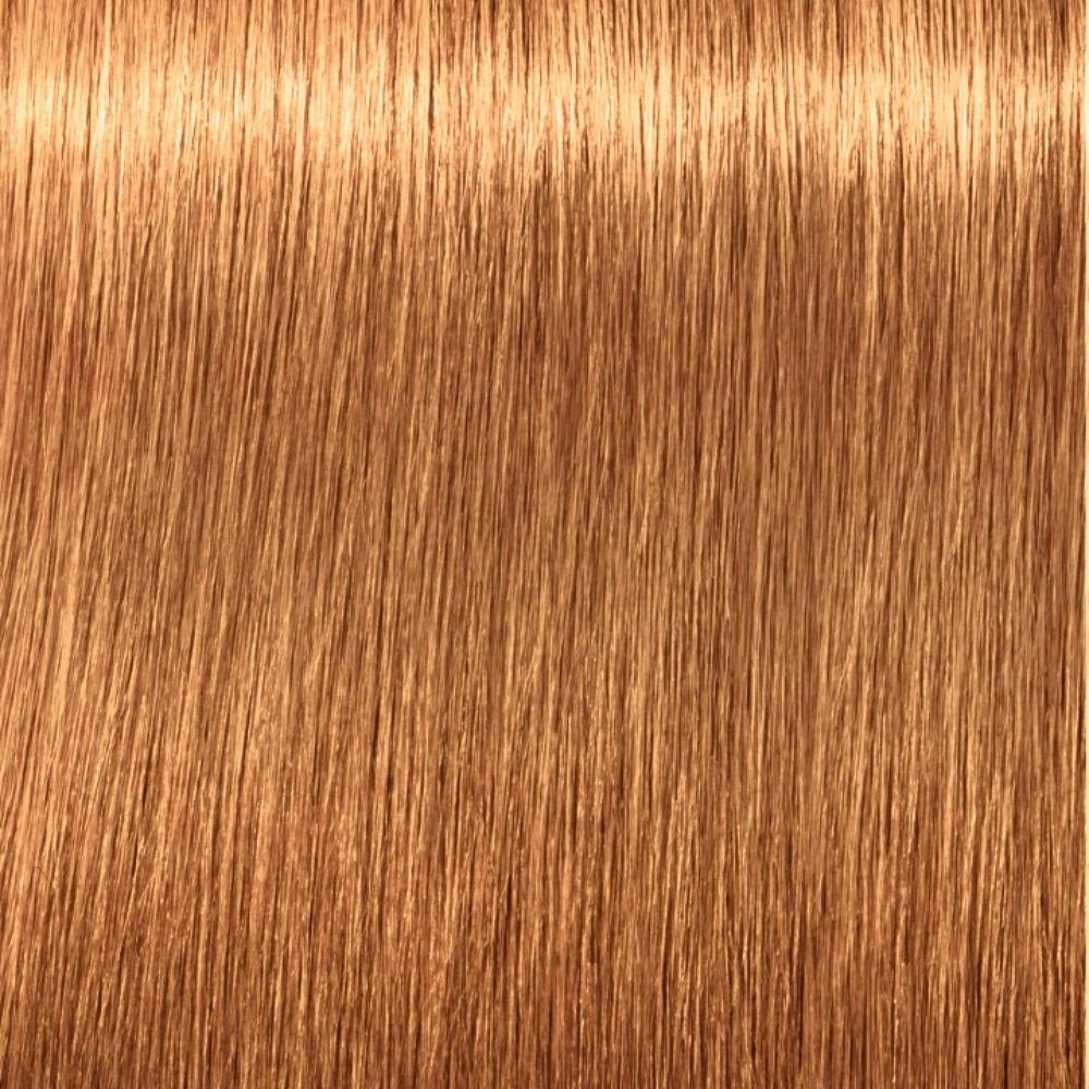 Schwarzkopf Igora Royal Absolutes 9 60 60Ml