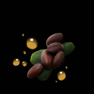 Dark Oil Mascarilla Ligera Y Nutritiva 500 Ml