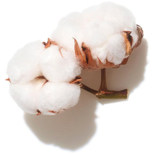 Invigo Volume Boost Shampoo...