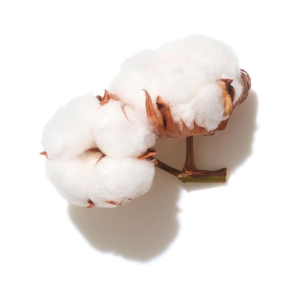 Invigo Volume Boost Shampoo 300 Ml