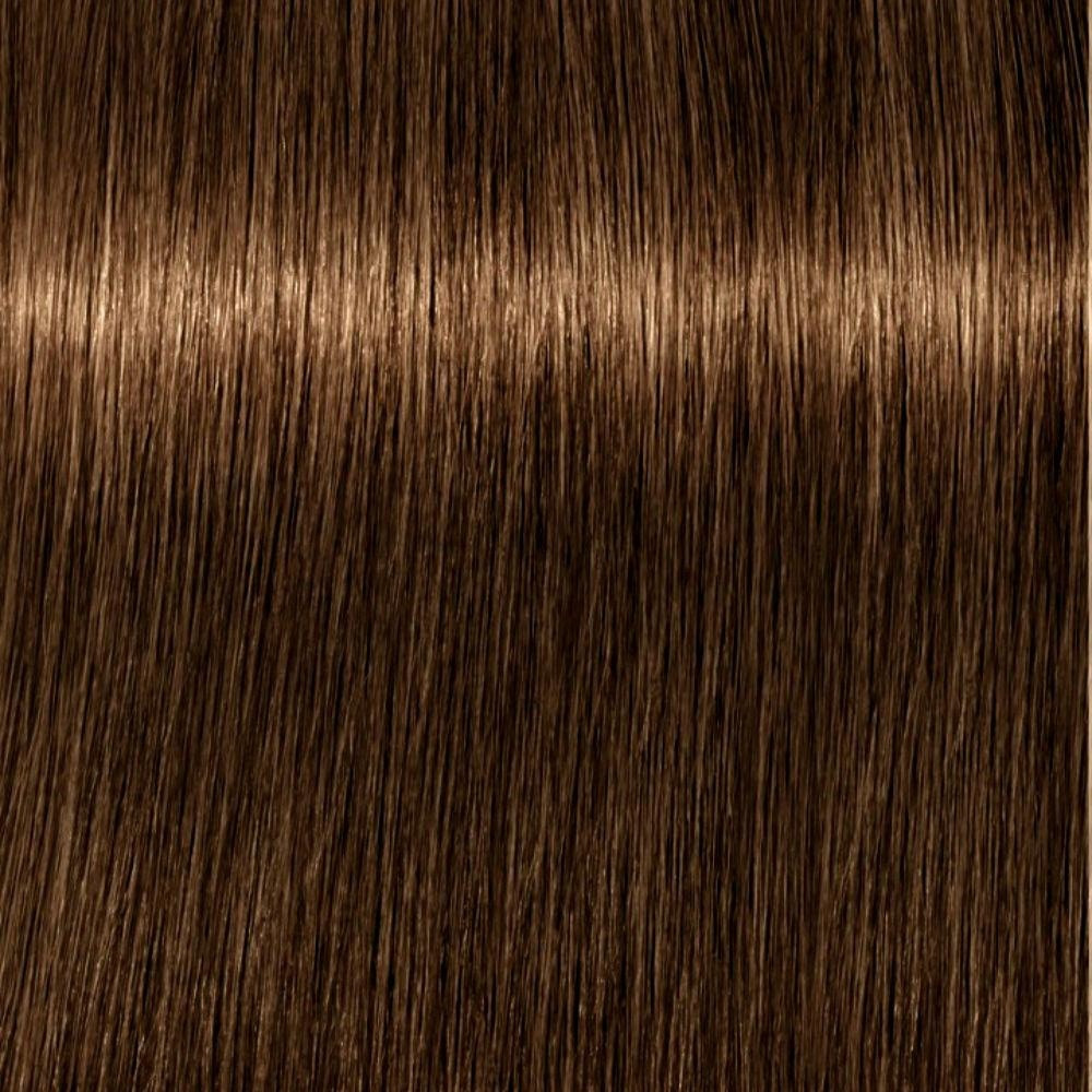 Schwarzkopf Igora Royal Permanent Color Creme 6 4 60Ml