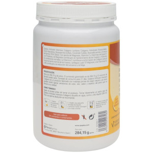 Epaplus Arthicare Intensive Polvo Tratamiento 21 Días, 278,7 G