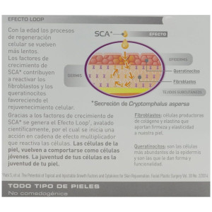 Radiance Proteoglicanos Oil-Free Ampollas 30 X 2 Ml