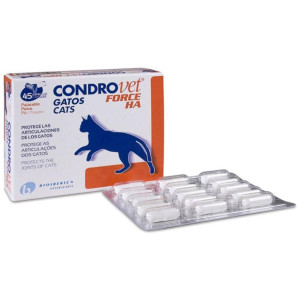 Bioibérica Condrovet Force...