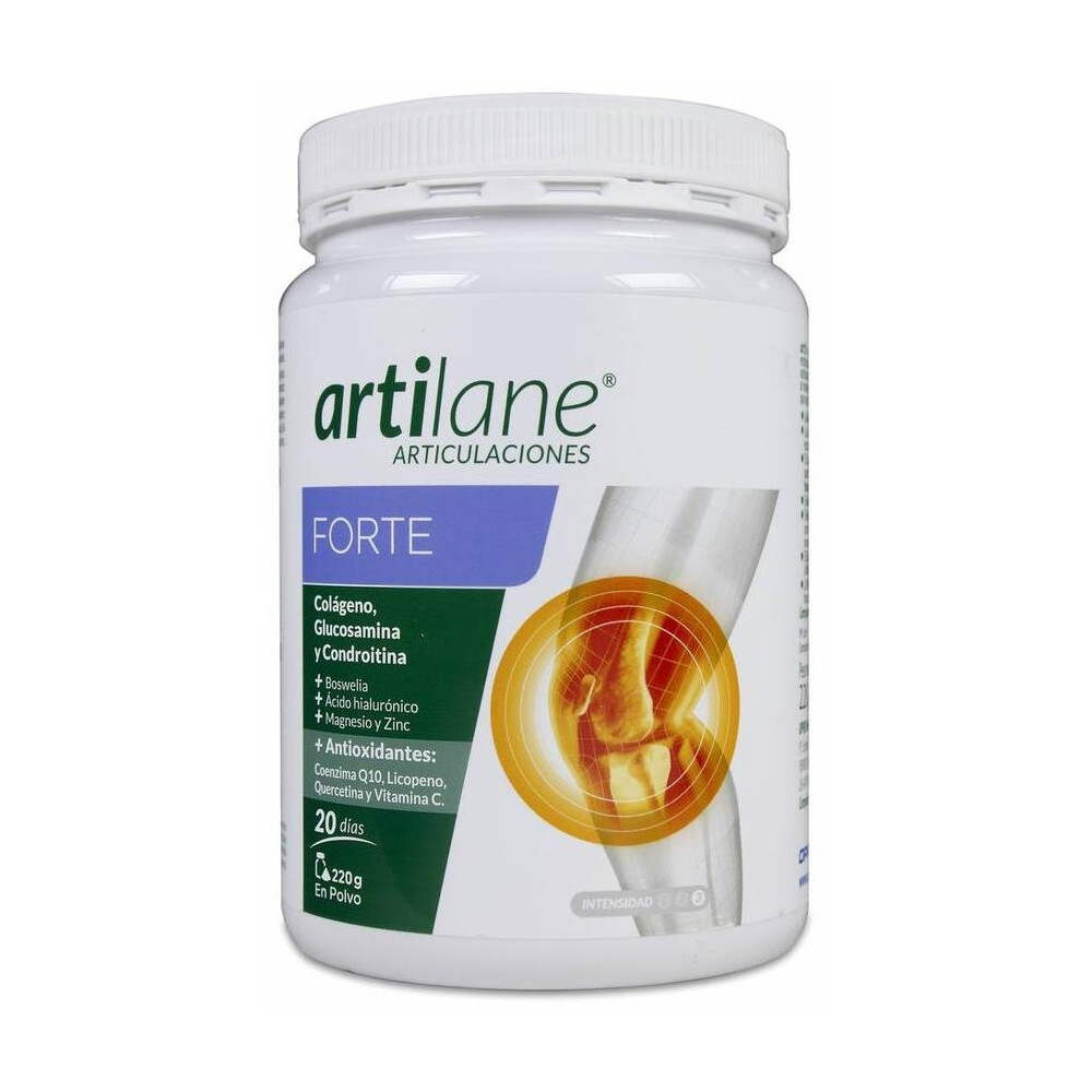 Artilane Forte Polvo 220 G Opko