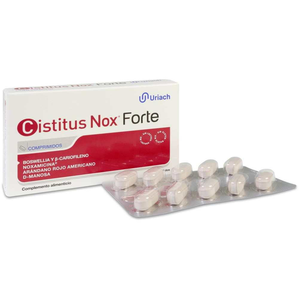 Uriach Cistitus Nox Forte, 20 Comprimidos