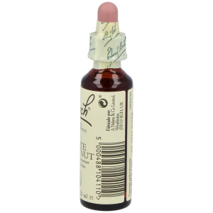 Flores Bach White Chestnut Castaño Indias 20Ml.