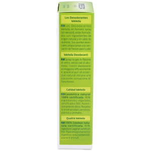 Citrus Desodorante 24H Eficacia Spray 100 Ml