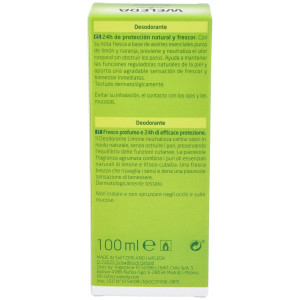 Citrus Desodorante 24H Eficacia Spray 100 Ml