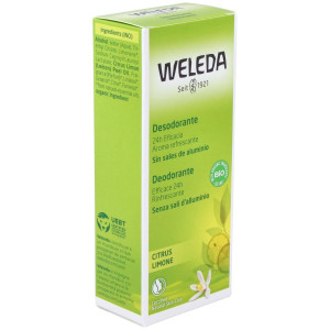 Citrus Desodorante 24H Eficacia Spray 100 Ml