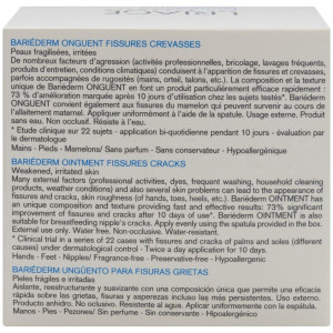 Bariederm Reparador Antigrietas Ungüento, 40 G