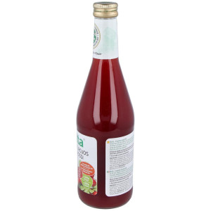 Biotta Jugo De Arándanos Rojos Plus Bio 500Ml