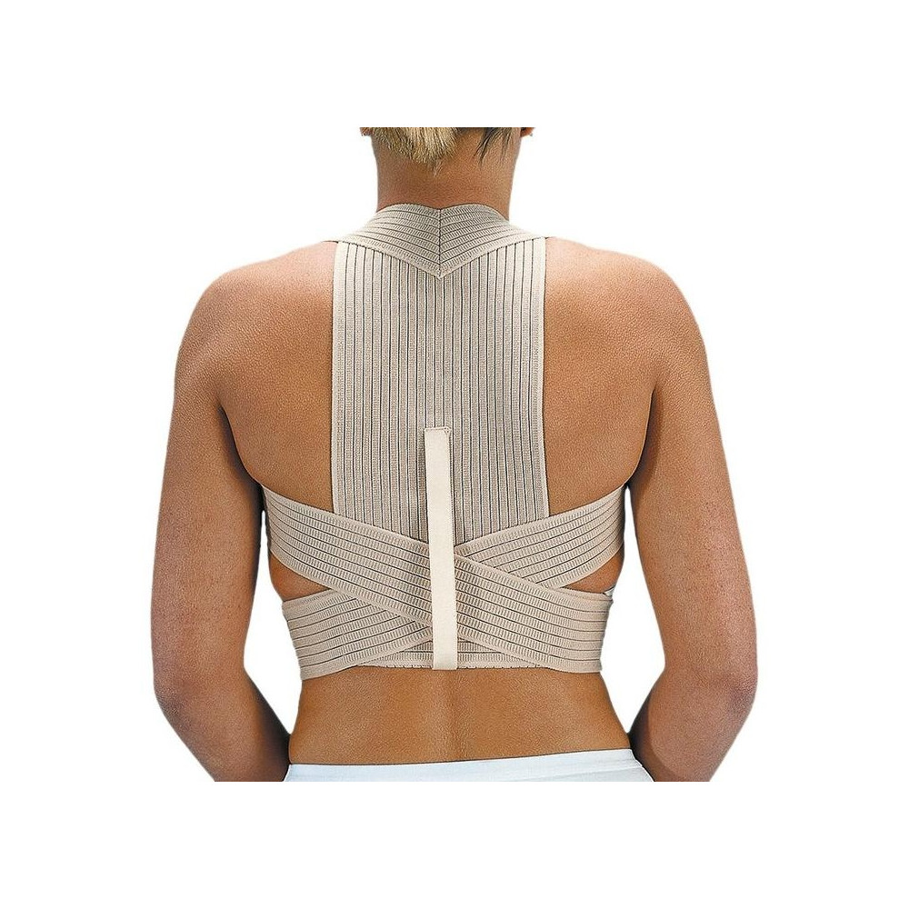 Orliman Espaldera Transpirable T-5 98-110Cm