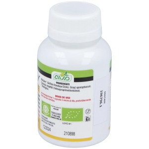 Micoteraphy Maitake 595 Mg 90 Capsulas Avd