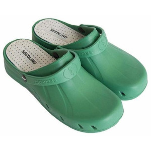 Zueco Secolino Ia Verde...