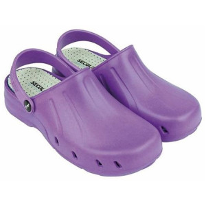 Secolino Zueco Violeta...