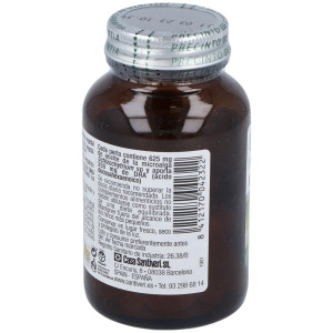 Santiveri Dha Vegetal Bote 30 Perlas