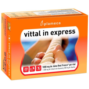 Plameca Vittal In Express...