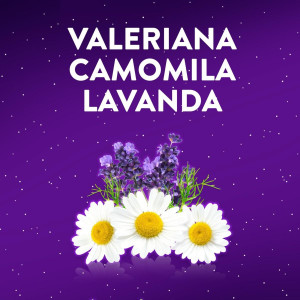 Zzzquil Natura Gummies Plátano Y Mango De Melatonina 1Mg Y Valeriana 60U.