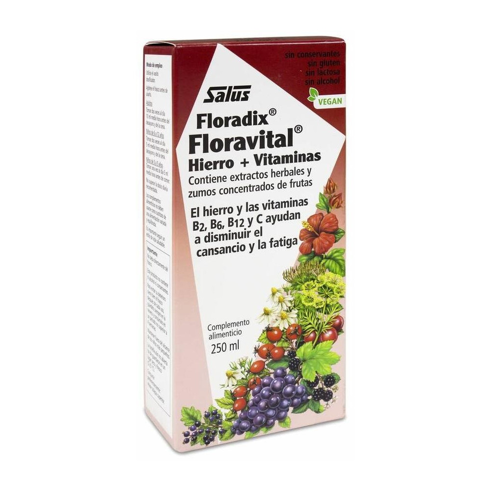 Floradix® Floravital® Hierro+Vitaminas 250Ml