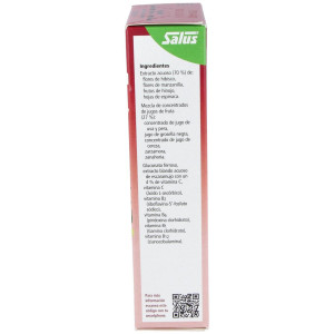 Floradix® Floravital® Hierro+Vitaminas 250Ml