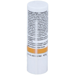 Dr. Hauschka Protector Labial Stick 5G