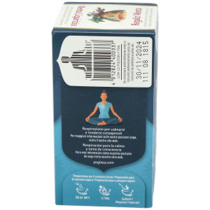 Yogi Tea Regaliz Y Menta 17Infusiones