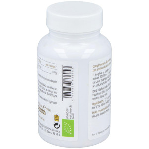 Raab Jengibre 160Comp Bio