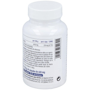 Raab Vitalfood Citrato De Magnesio 90Caps