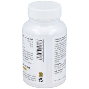 Raab Vitalfood Msm Con Vitamina C 90Caps