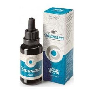 Hiranyagarba Elixir...