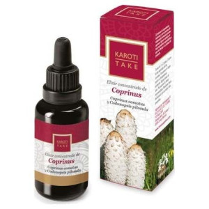 Hiranyagarba Karoti-Take...