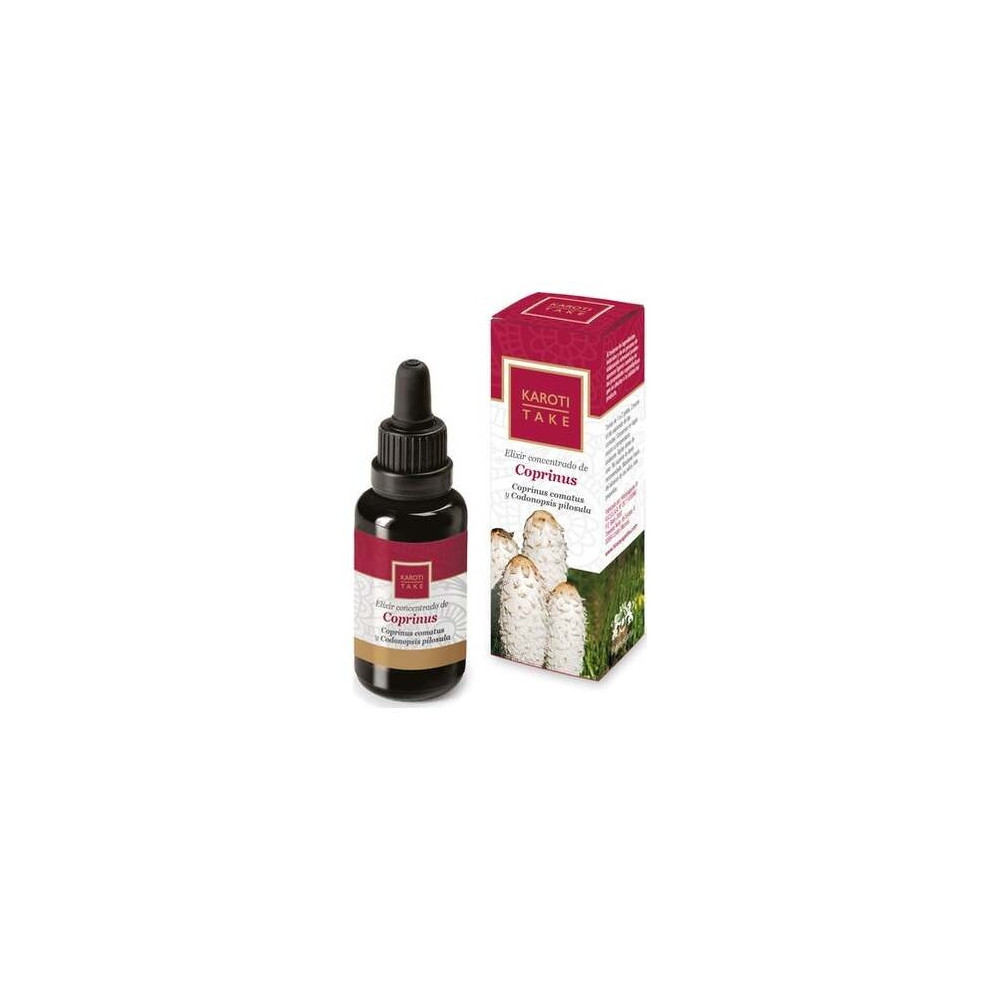 Hiranyagarba Karoti-Take Elixir Concentrado Coprinus 30Ml