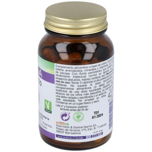 Mega Intelecto 60Cap.