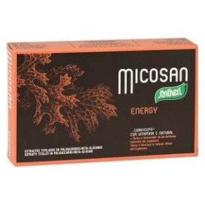 Micosan Energy 40Cap.