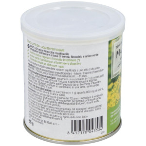 Santiveri Sanaflor Bote Mast-Lax Gases 65Gr