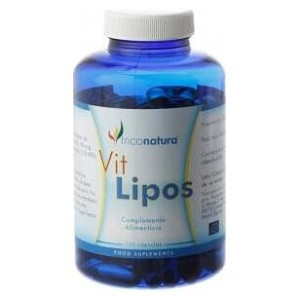 Ginkgo Biloba Infusion...