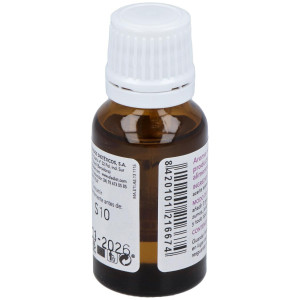 Ravintsara Aceite Esencial 15Ml.