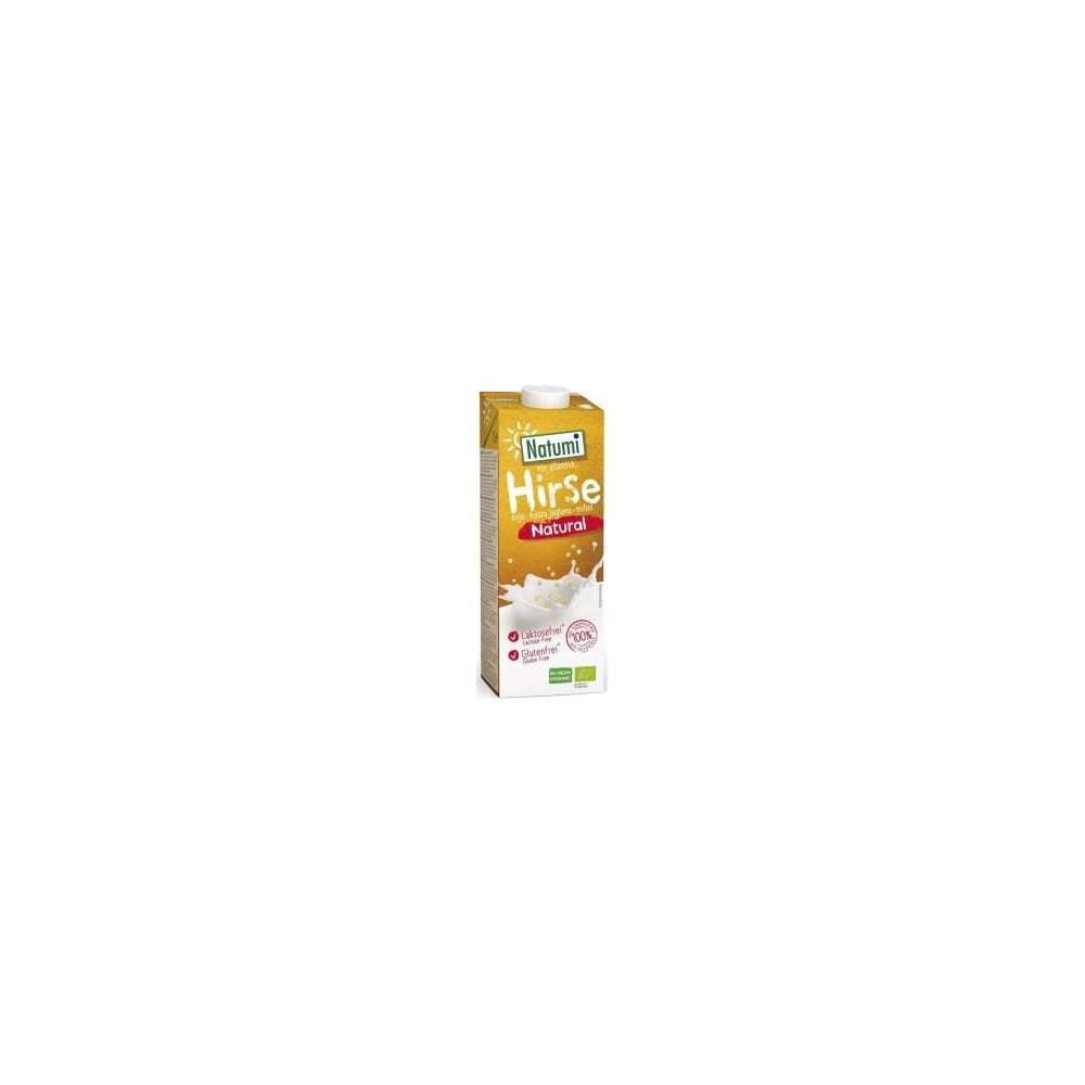 Bebida Vegetal De Mijo Natural 1Lt Bio Sg Vegan