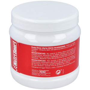 Nutrisport Lglutamina 400G