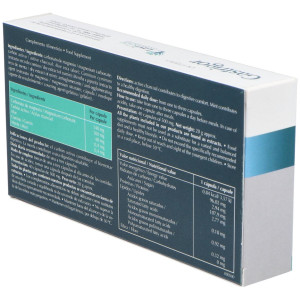 Lavigor Gastrigor 40Caps