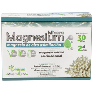 Pinisan Minera Magnesium...
