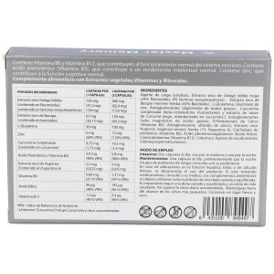 Plameca Master Memory 30Caps Vegs