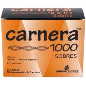 Carnera 1000 18Sbrs.