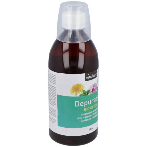 Vitalart Depurativo Bio-Detox Eco 500Ml